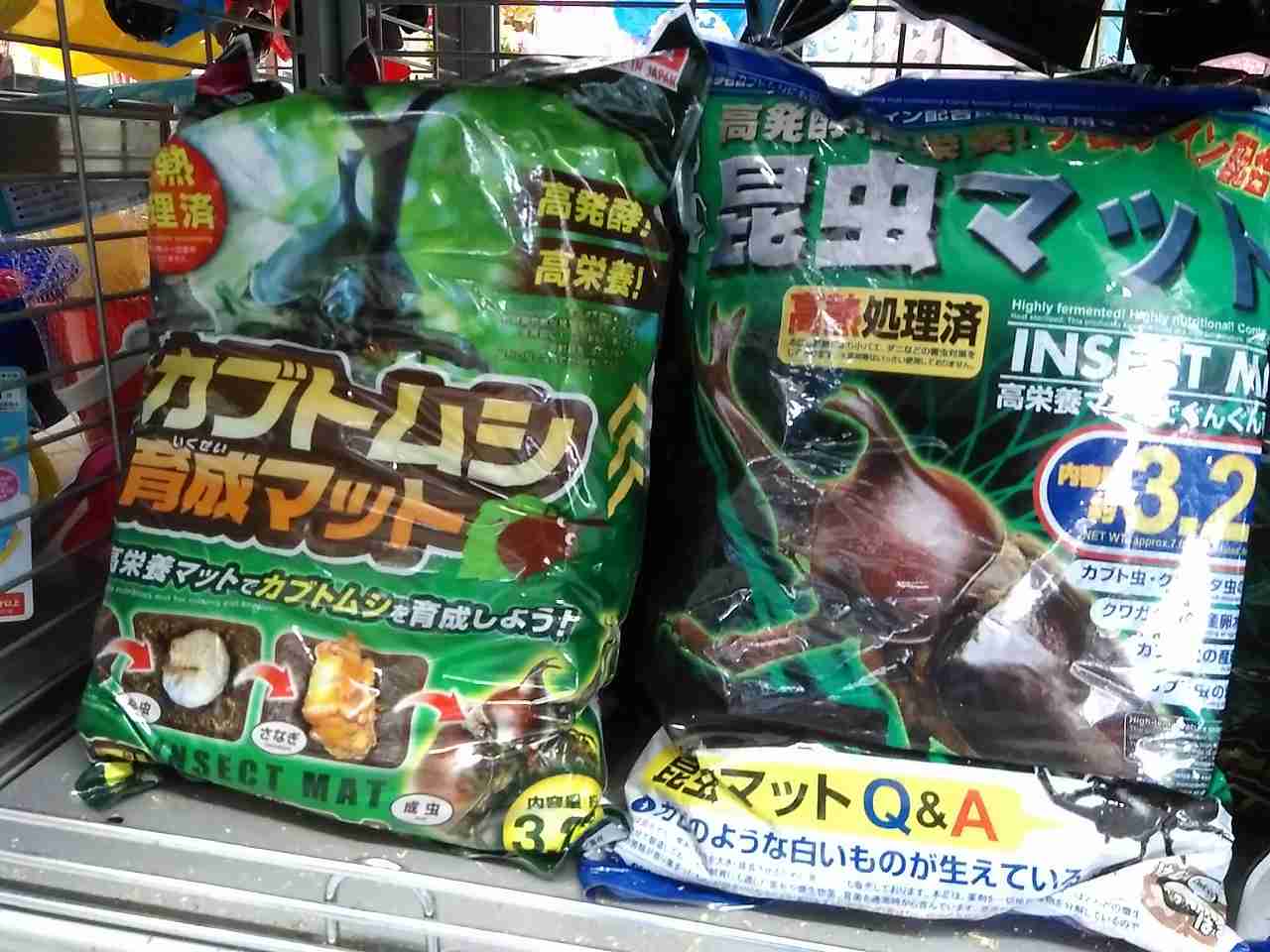 ダイソー昆虫飼育コーナー カブトムシ クワガタムシの飼育グッズが安価でおすすめ おきなわ散歩みち